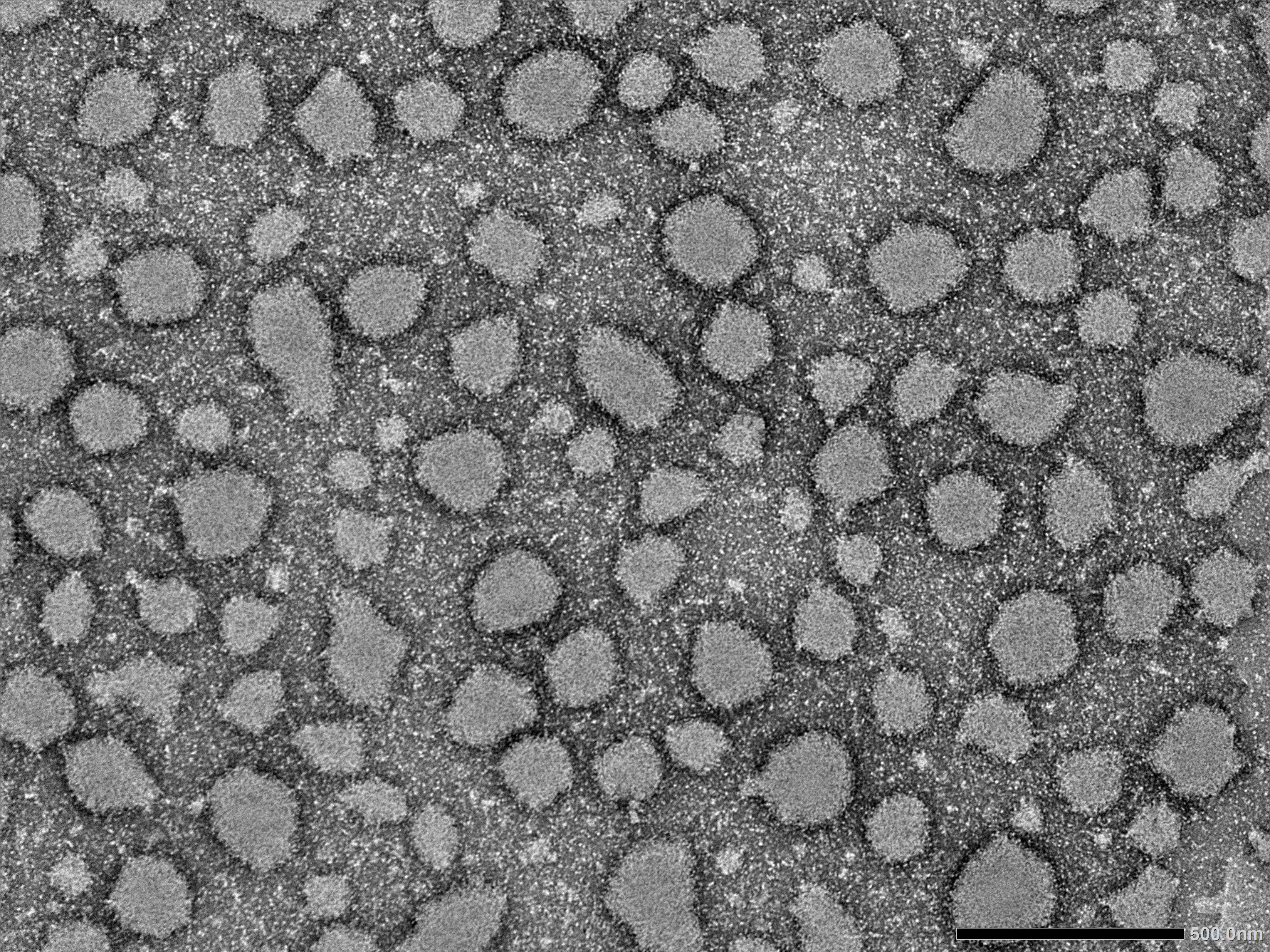 Nanostructured Therapeutic Carriers illustration